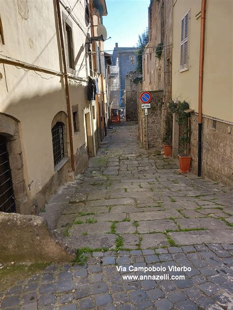 viterbo troie|Viterbo, dietro una via una storia: Da Santoro a via Campoboio